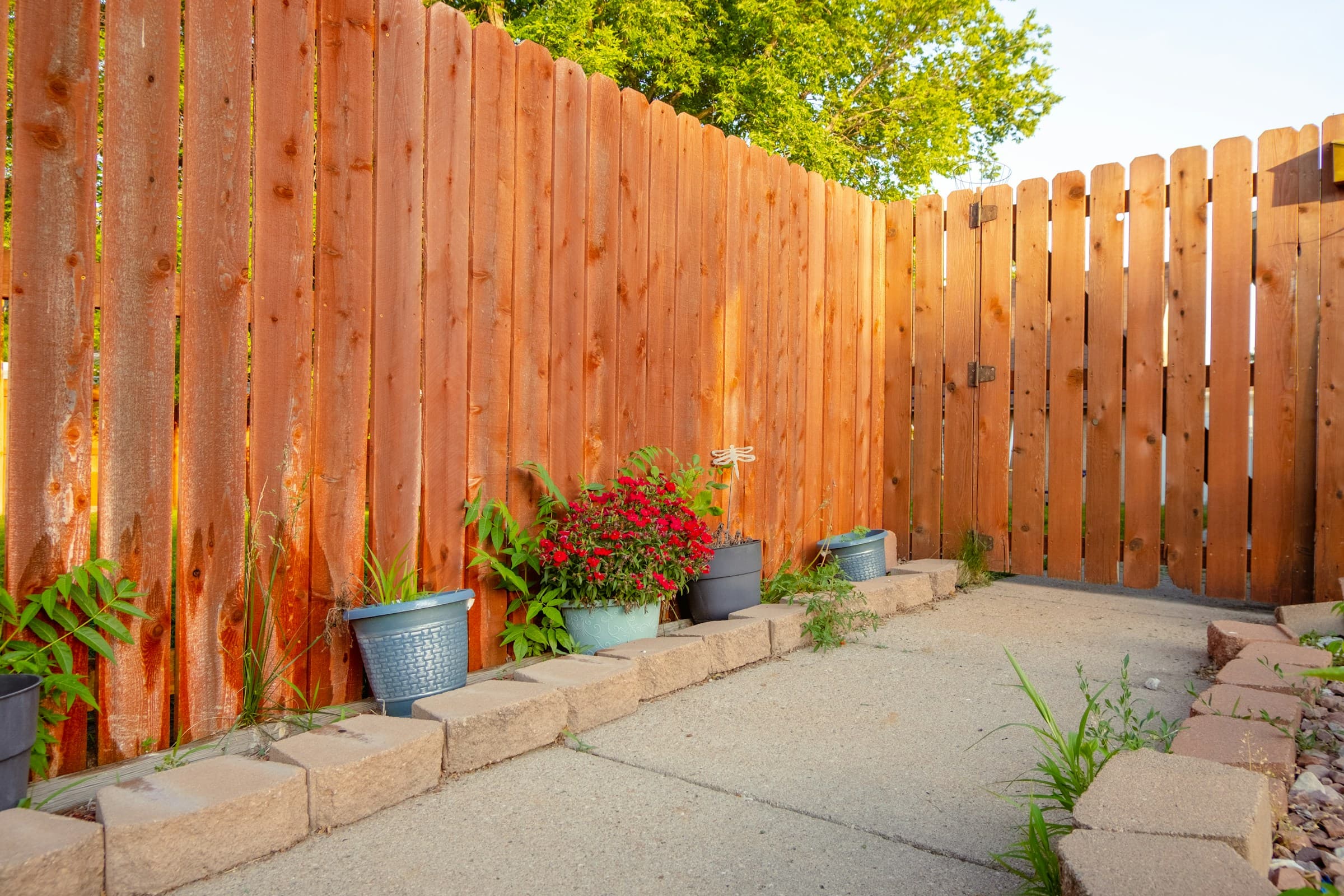 Backyard Restoration project in Cupertino