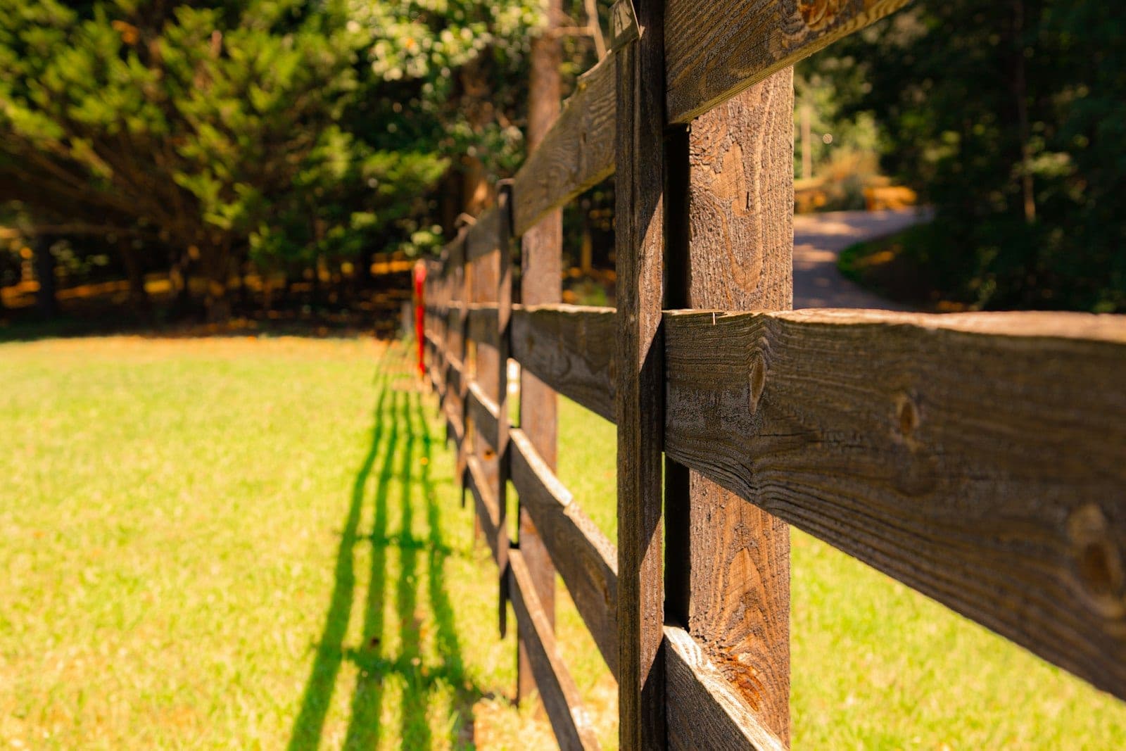 Cedar Privacy Fence project in San Jose
